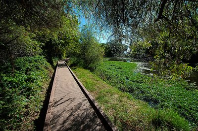 Kelsey Creek Campground