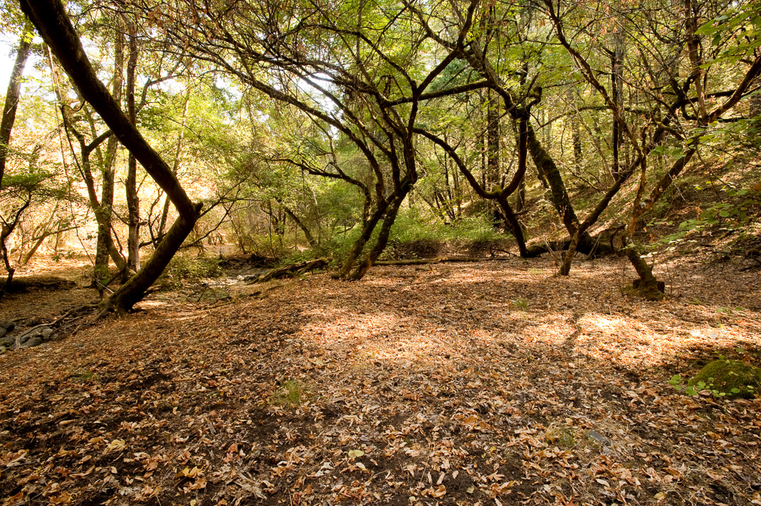 California State Parks