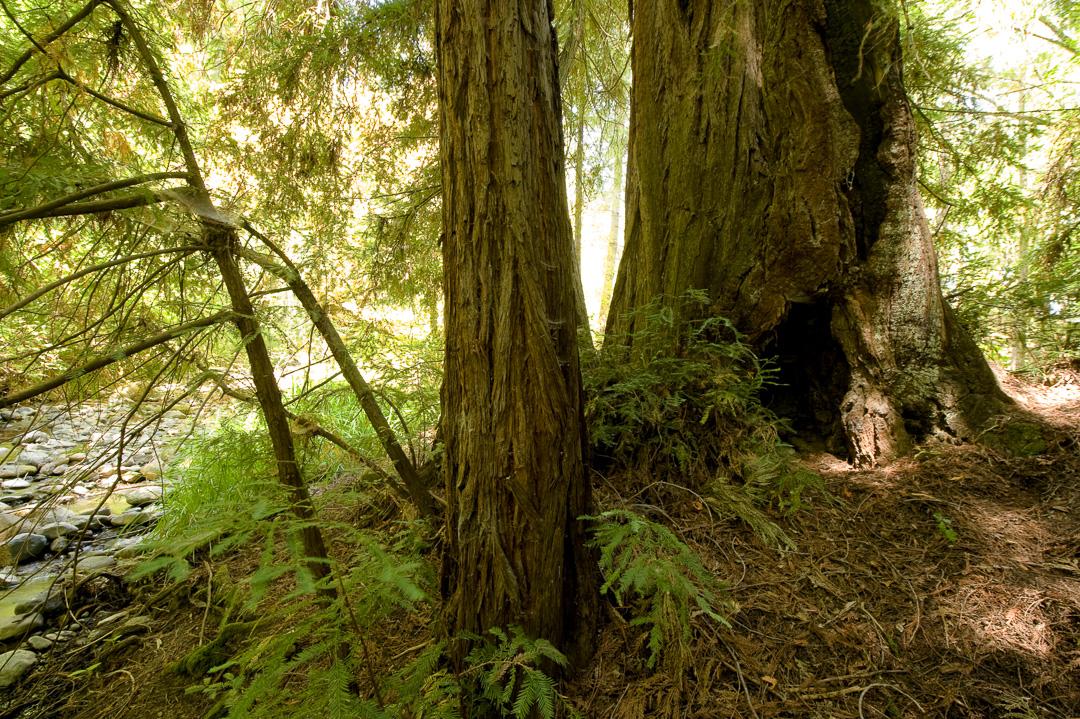 Valley Group Campground