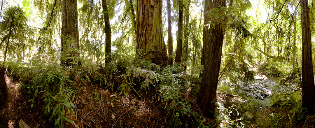 Ritchey Creek Campground