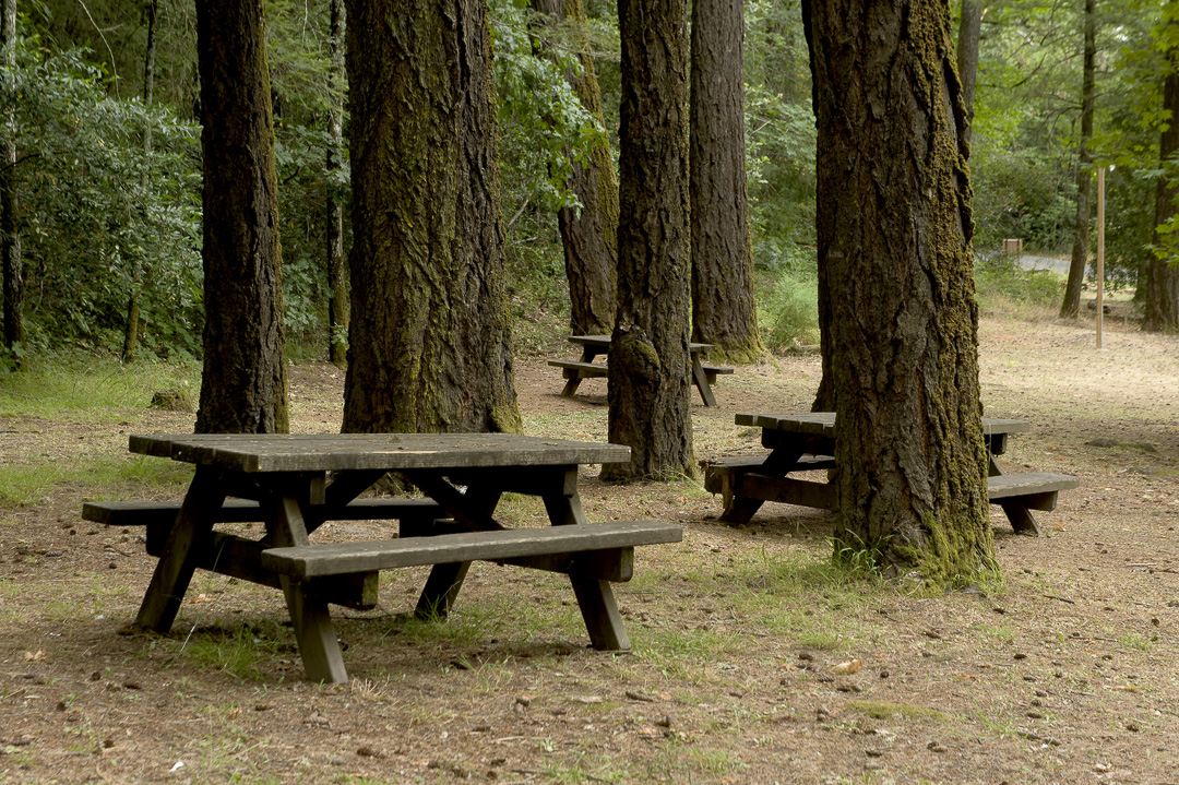 Ritchey Creek Campground