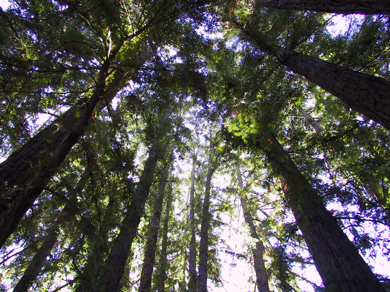 California State Parks