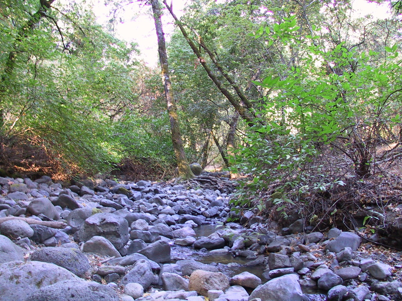 Ritchey Creek Campground