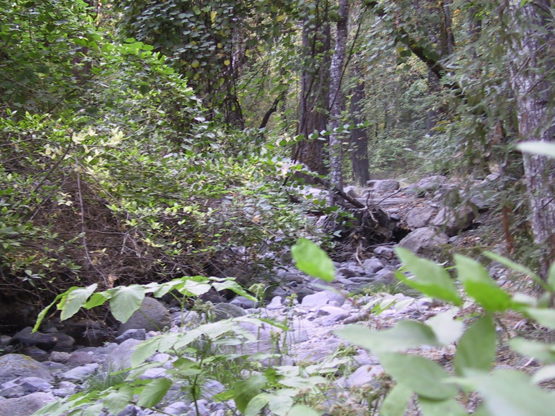 Ritchey Creek Campground
