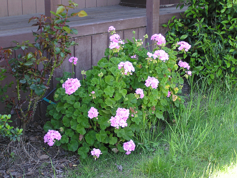 California State Parks