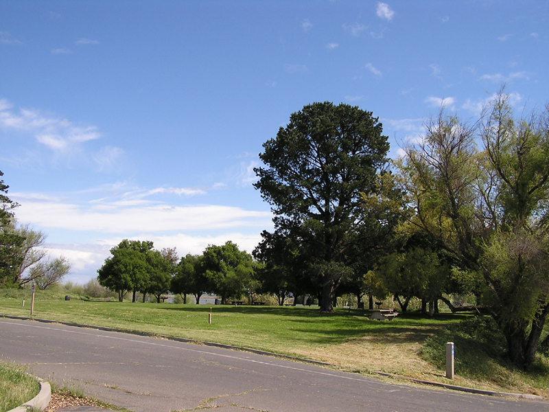 Cottonwood Campground