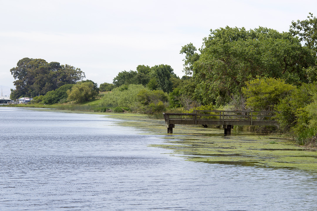 Cottonwood Campground