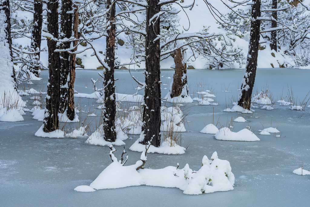 Malakoff Diggins State Historic Park Campground