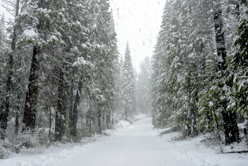 Malakoff Diggins State Historic Park Campground