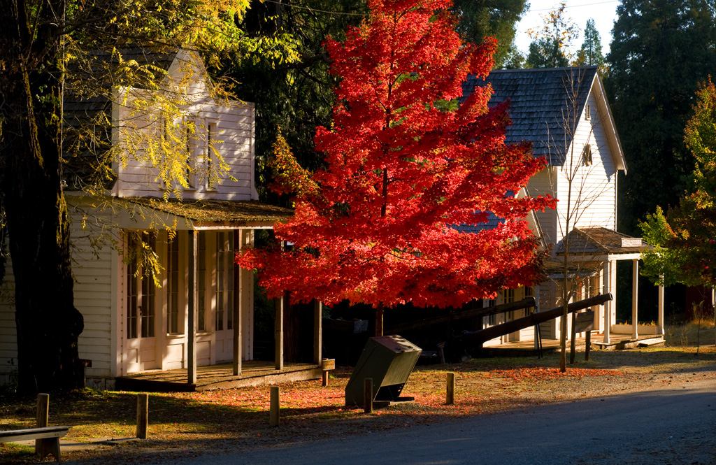 Malakoff Diggins State Historic Park Campground