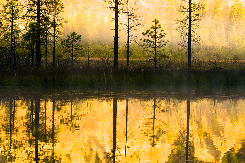 Malakoff Diggins State Historic Park Campground