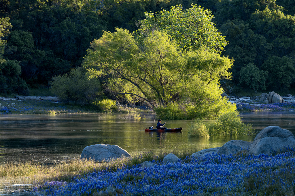 Black Miners Bar Campground
