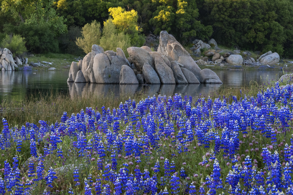Black Miners Bar Campground