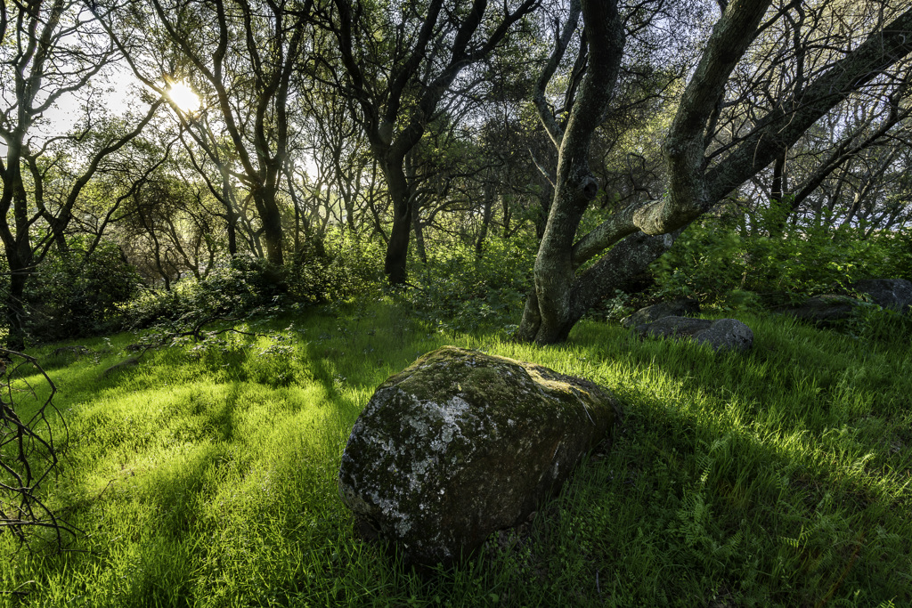 California State Parks