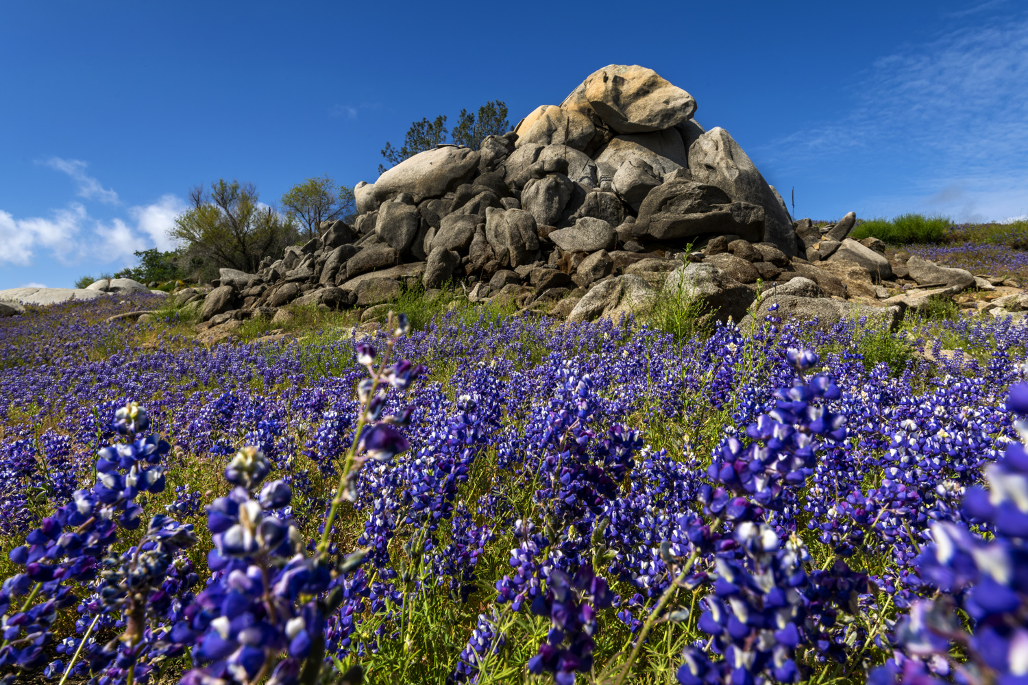 California State Parks