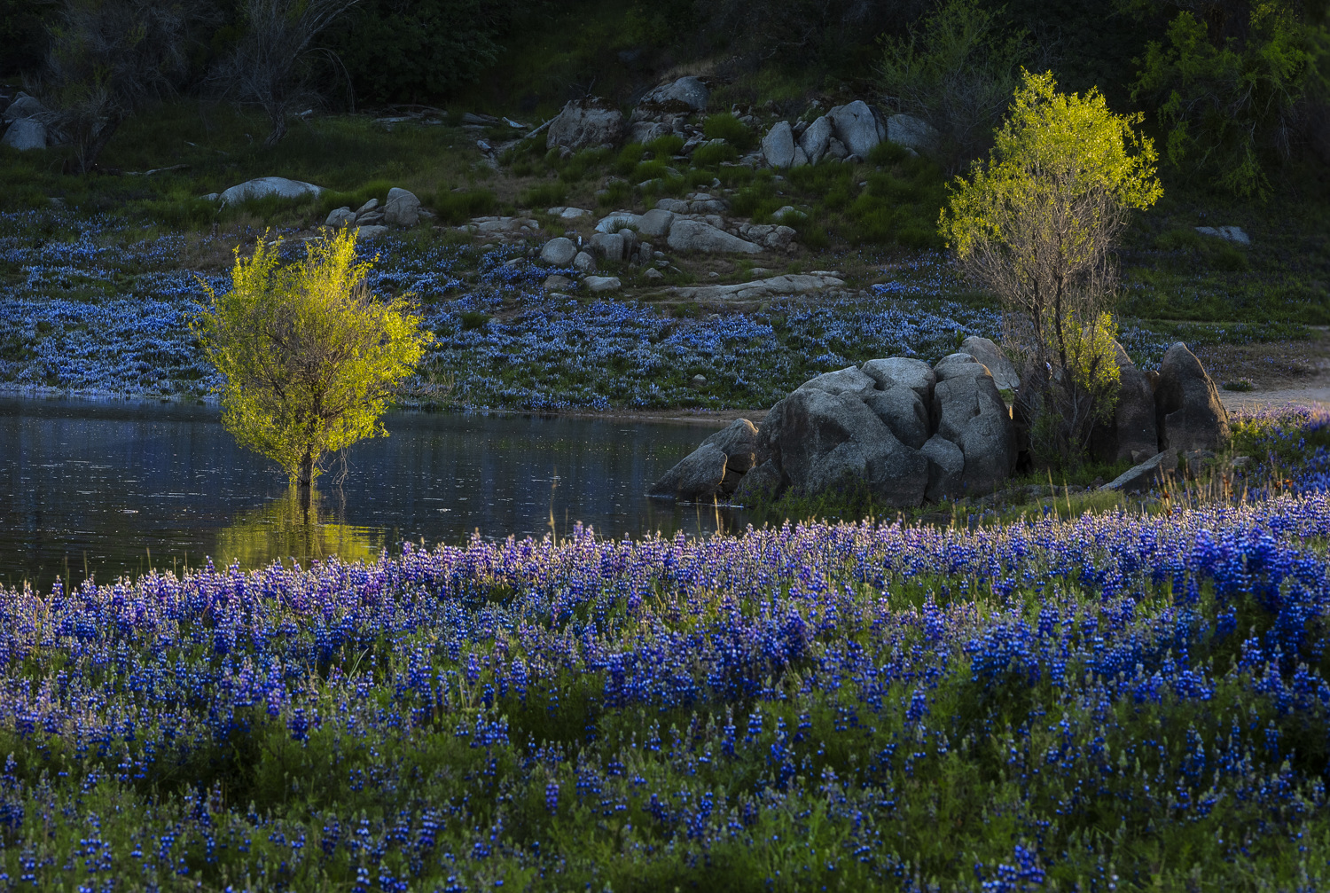 Black Miners Bar Campground