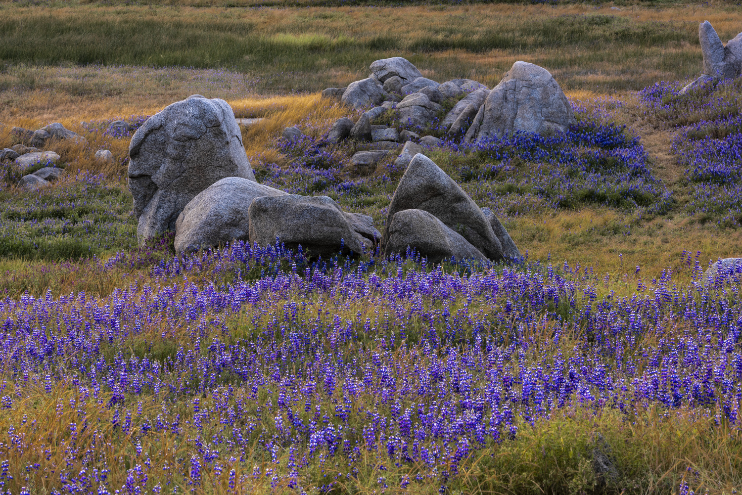 Peninsula Campground