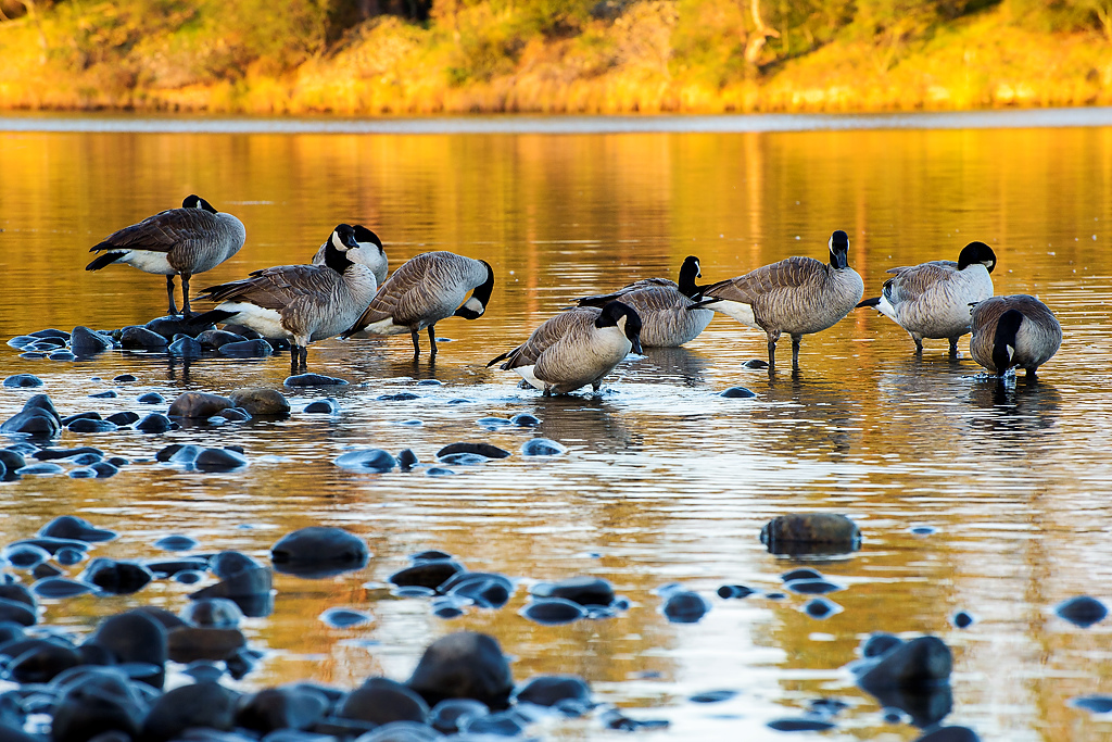 California State Parks