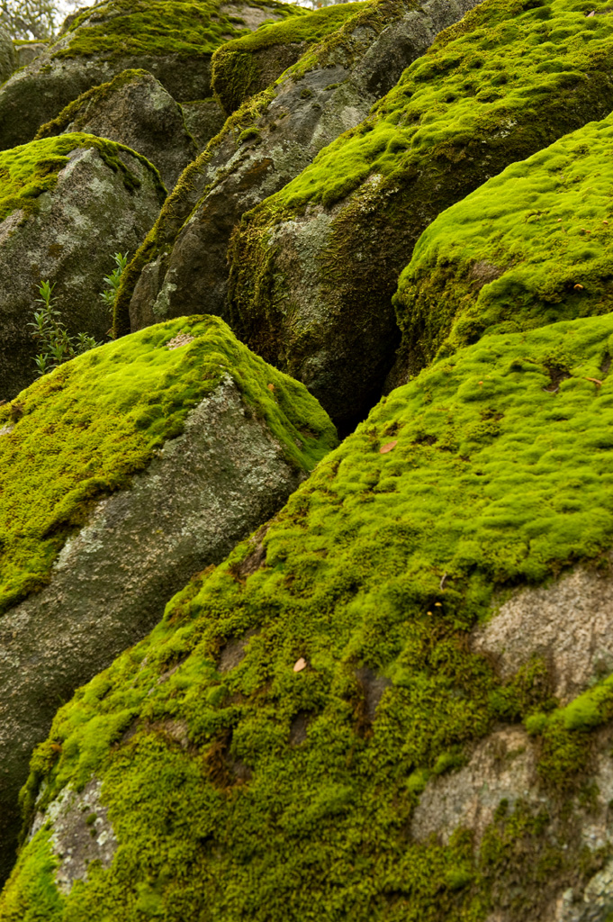 Black Miners Bar Campground