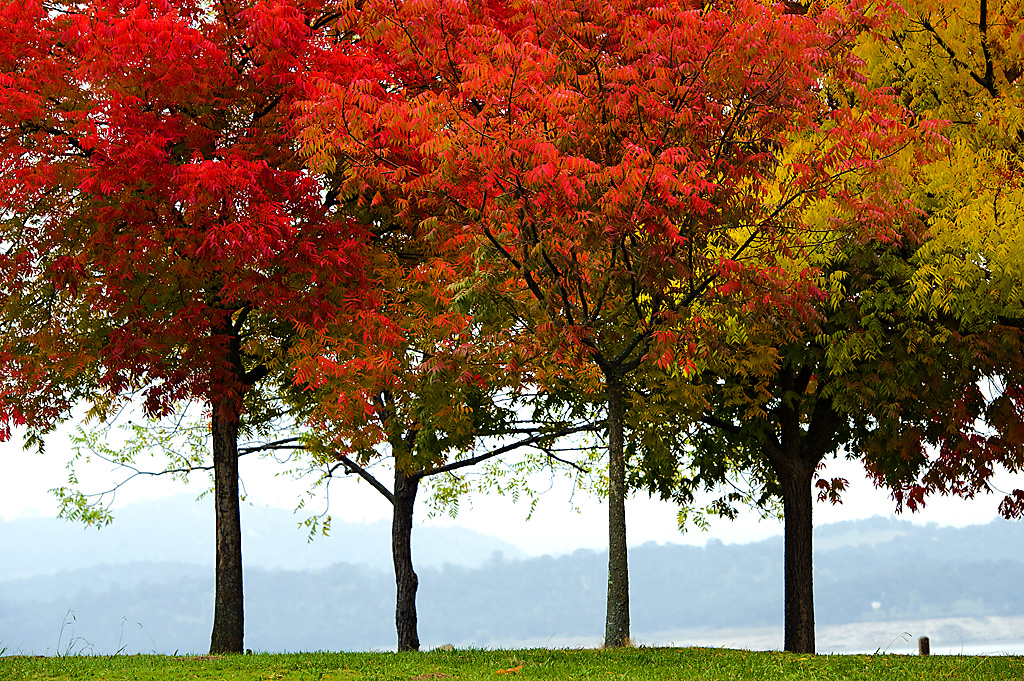 Black Miners Bar Campground