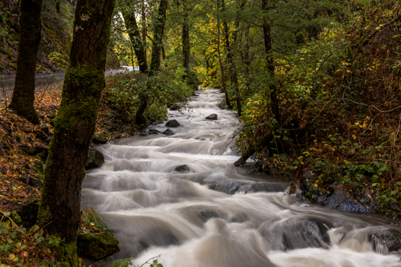 Ruck-A-Chucky Campground