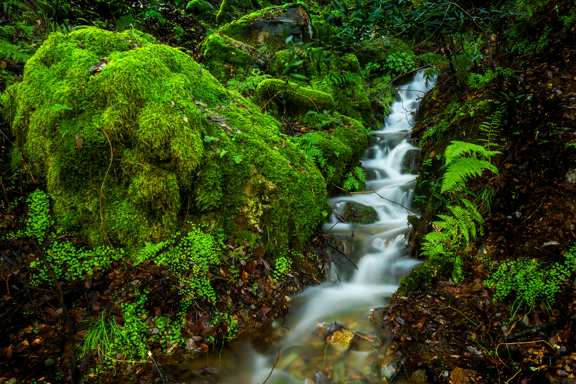 California State Parks