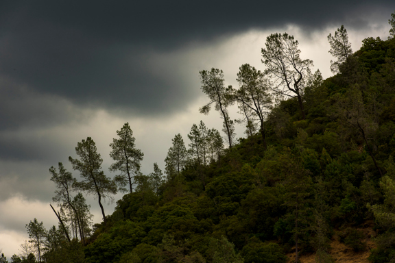 California State Parks
