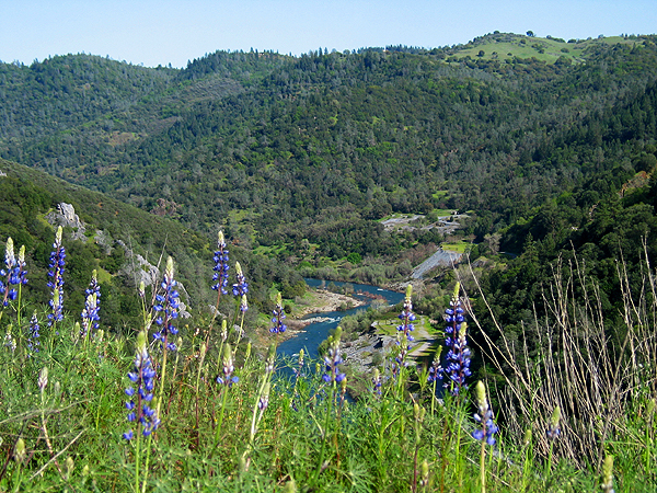 California State Parks