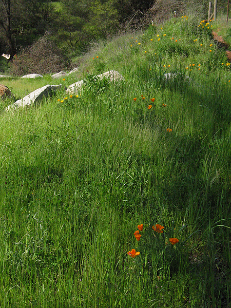 California State Parks