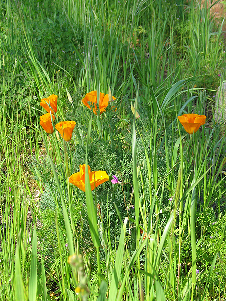Mineral Bar Campground