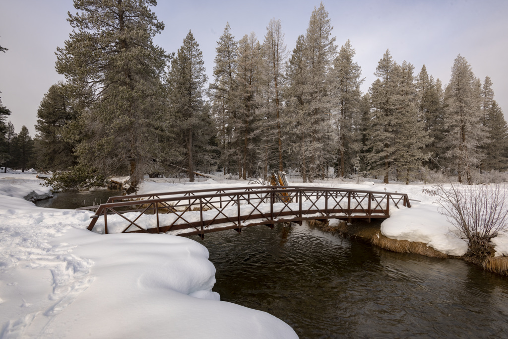 Donner Memorial State Park Campground