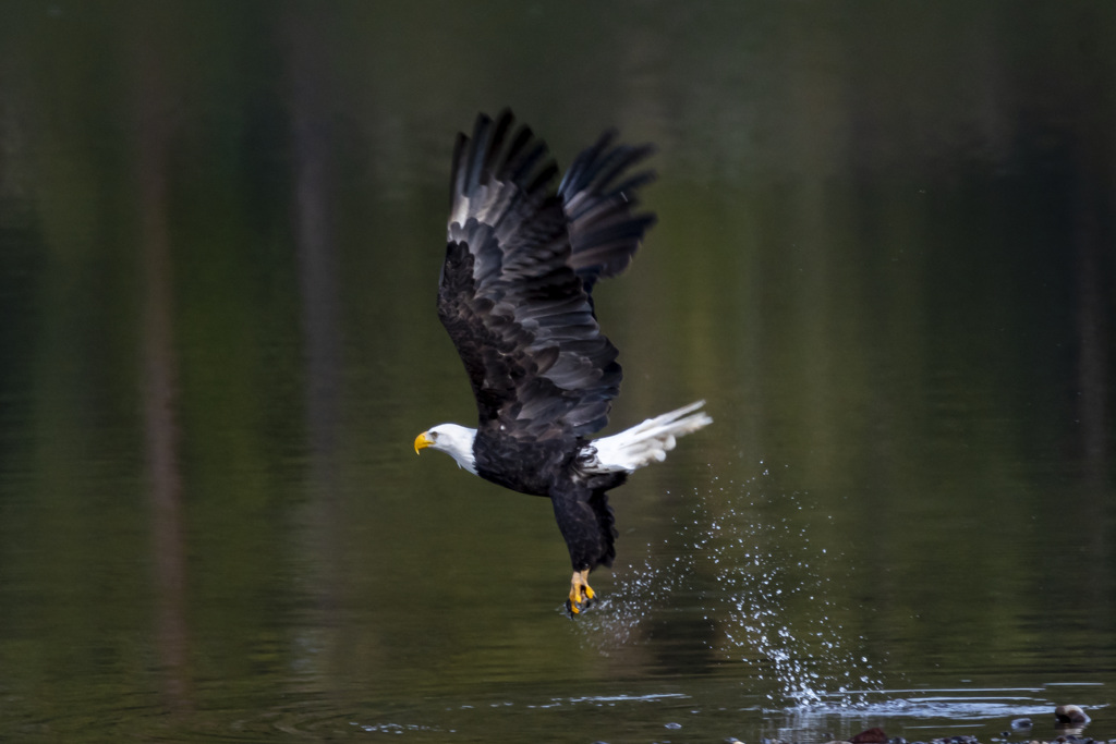 California State Parks