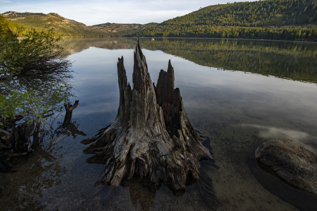 Donner Memorial State Park Campground