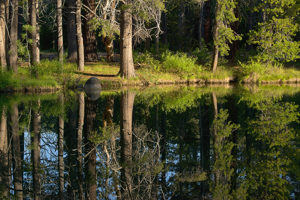 Donner Memorial State Park Campground