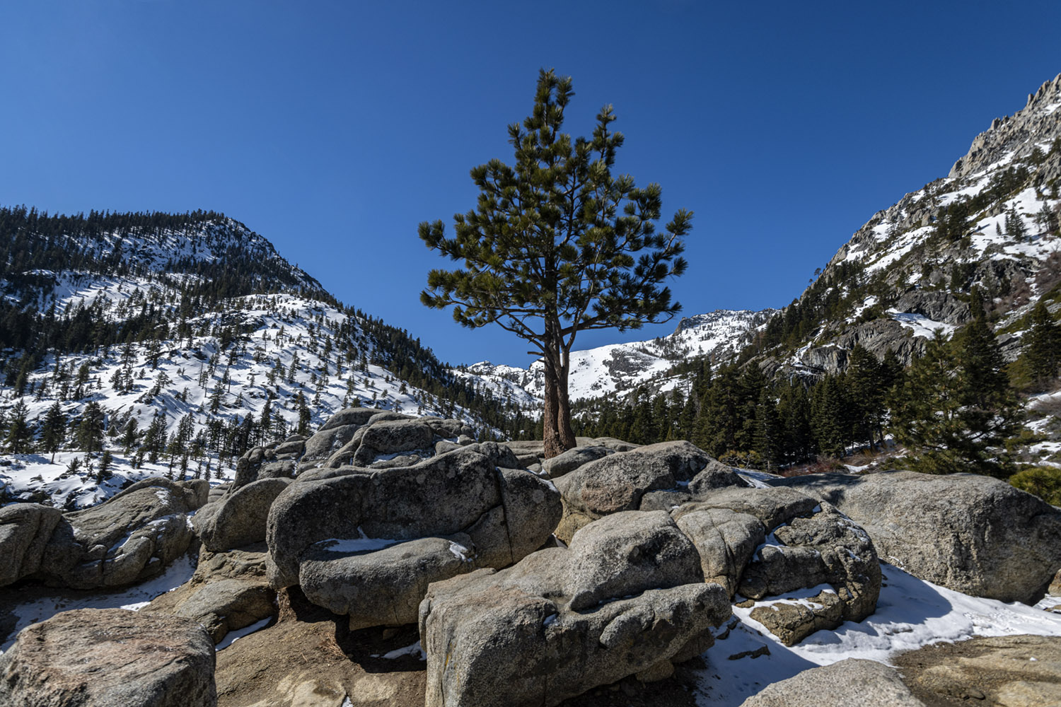 California State Parks