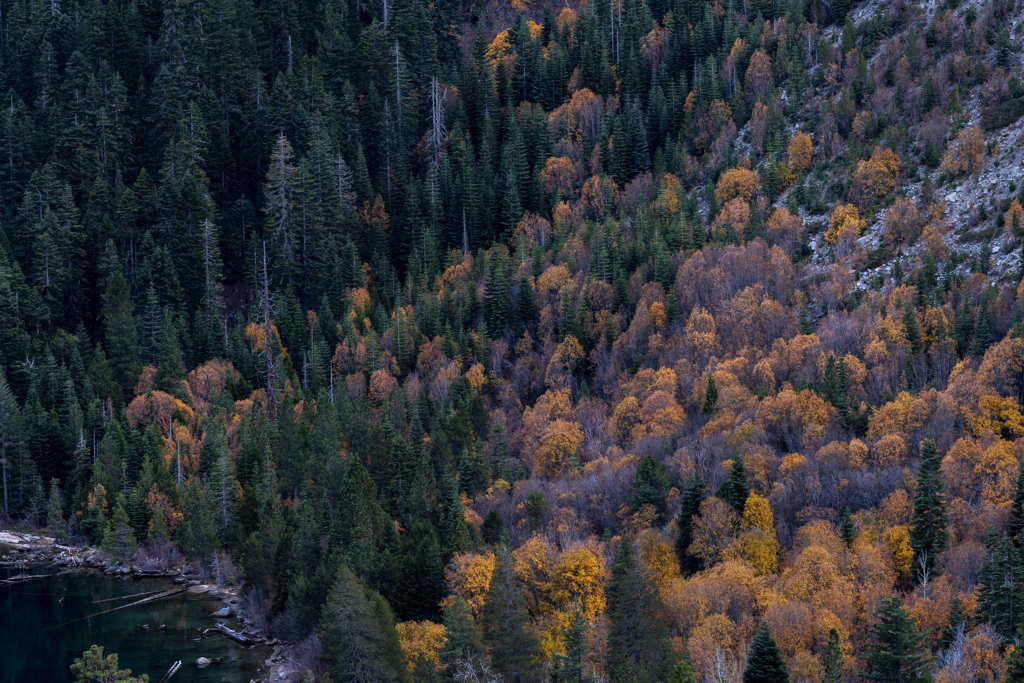 California State Parks