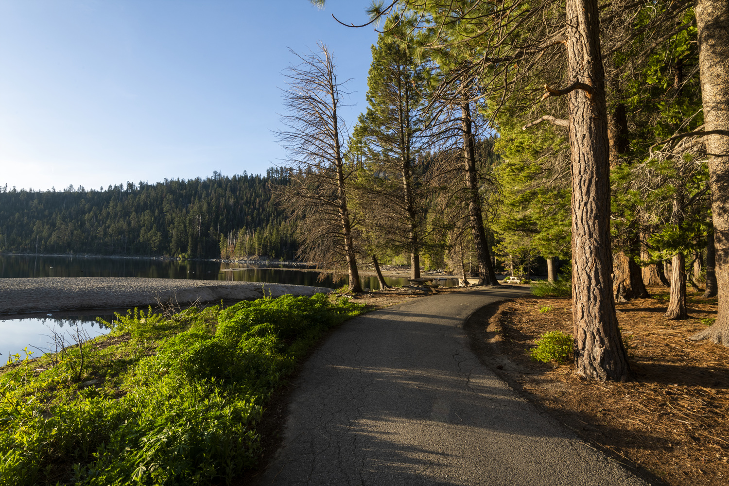 Eagle Point Campground