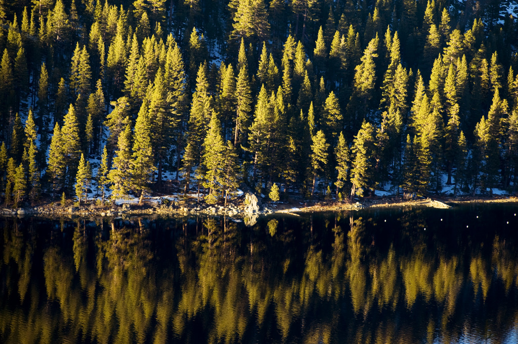 California State Parks
