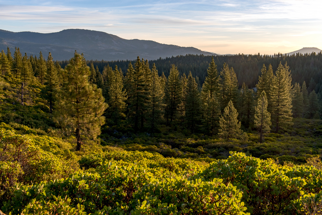 Lisa Group Campground