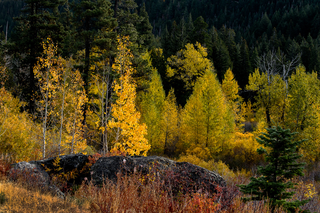 Lisa Group Campground
