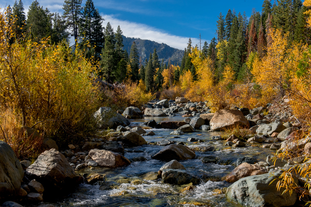 Jamison Creek Campground
