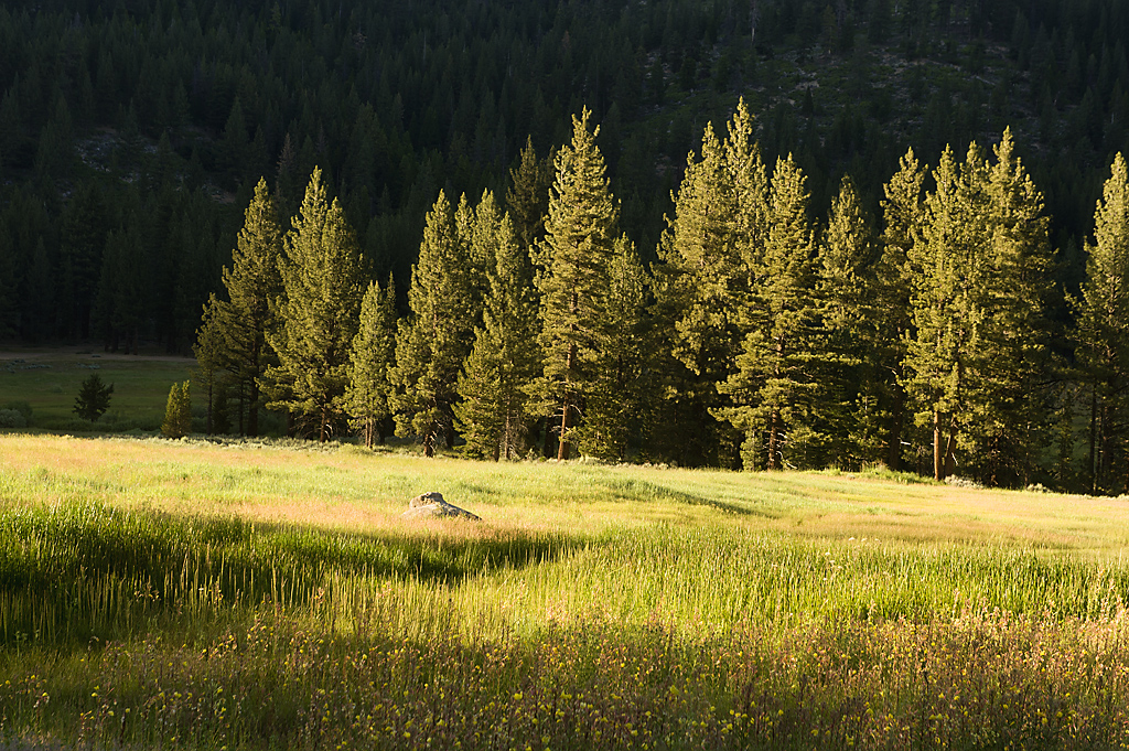 Grover Hot Springs State Park Campground