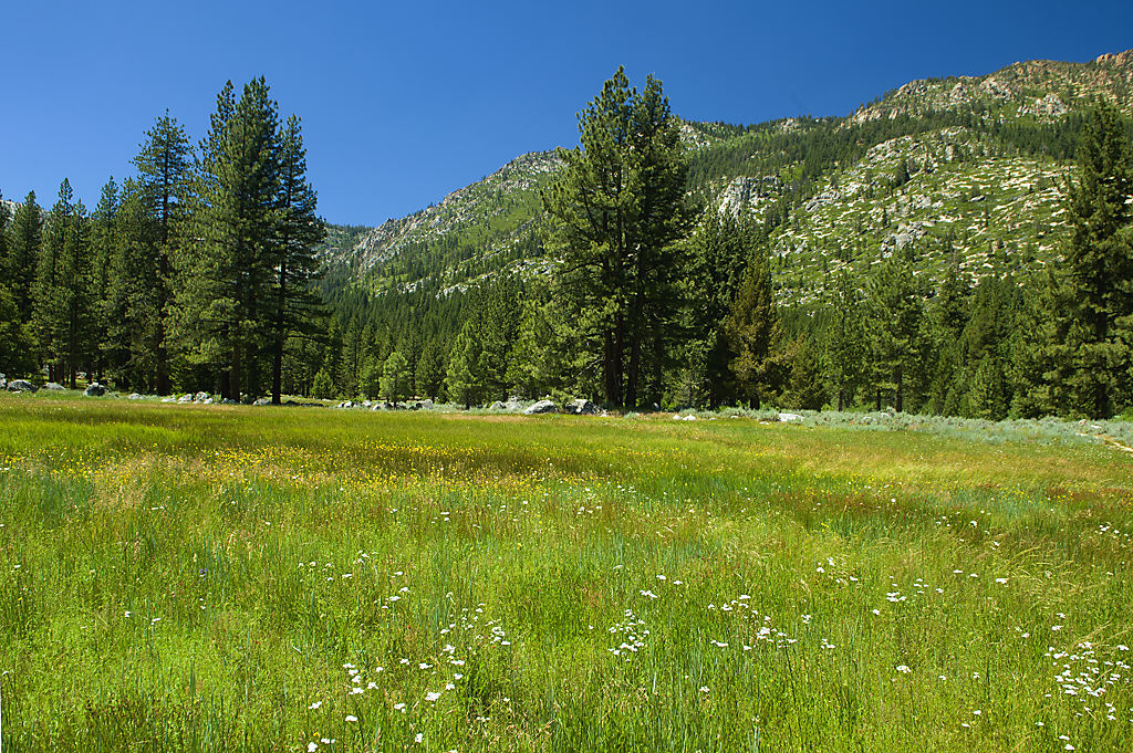 California State Parks