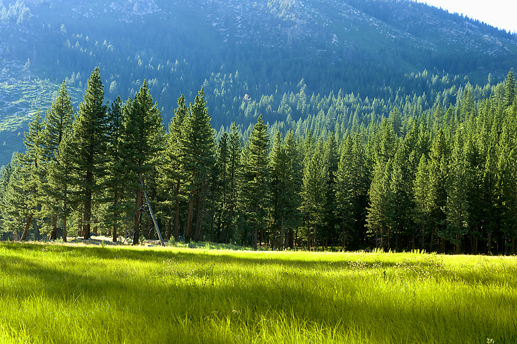 California State Parks