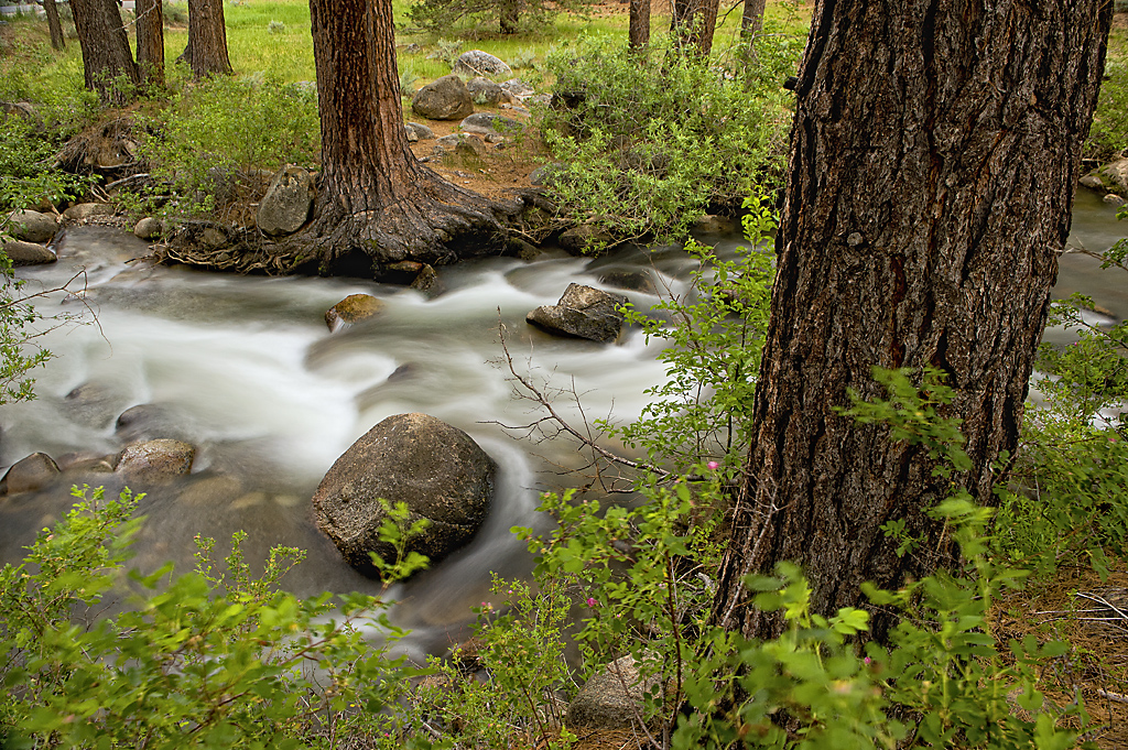 California State Parks