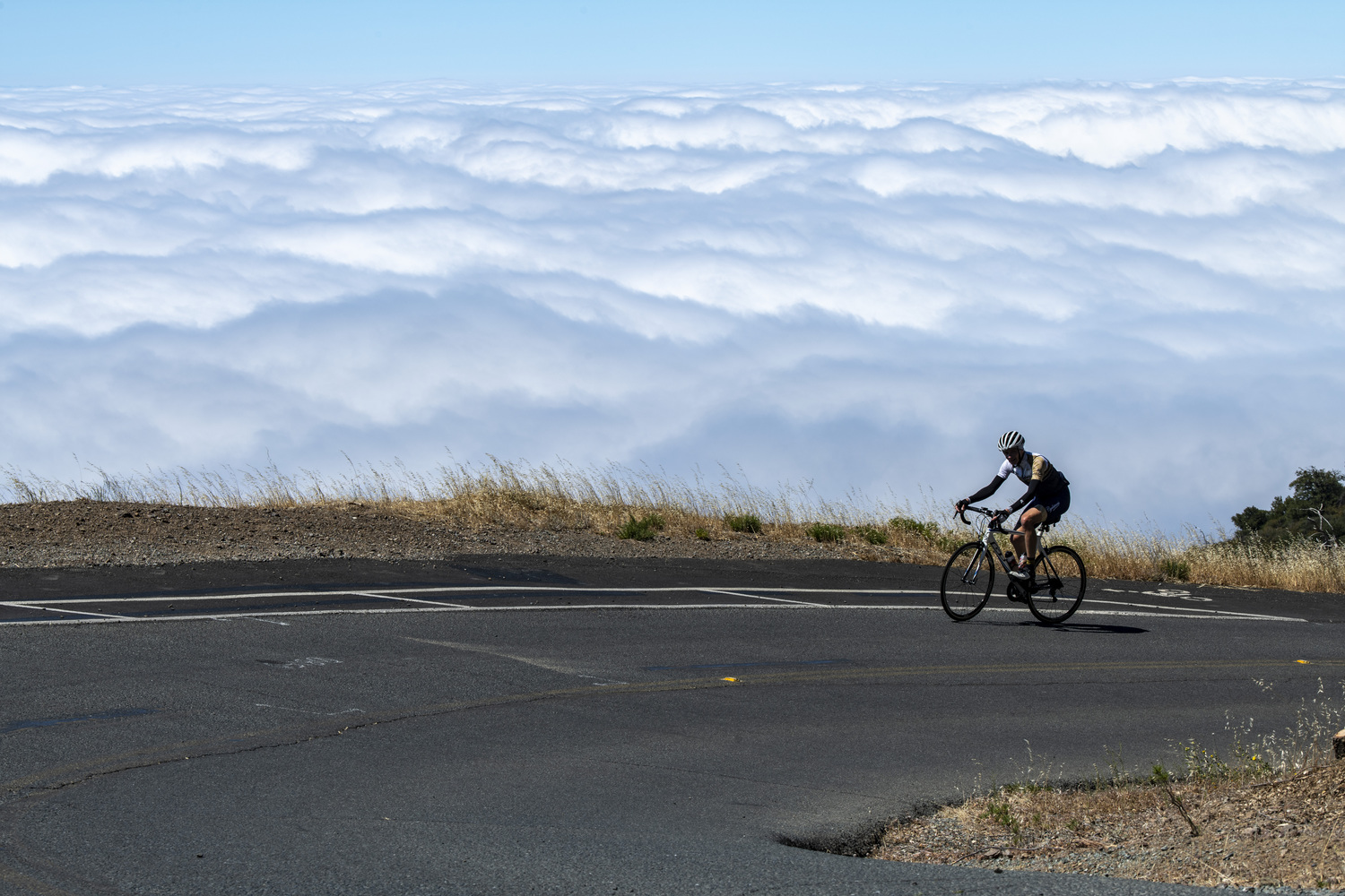 California State Parks