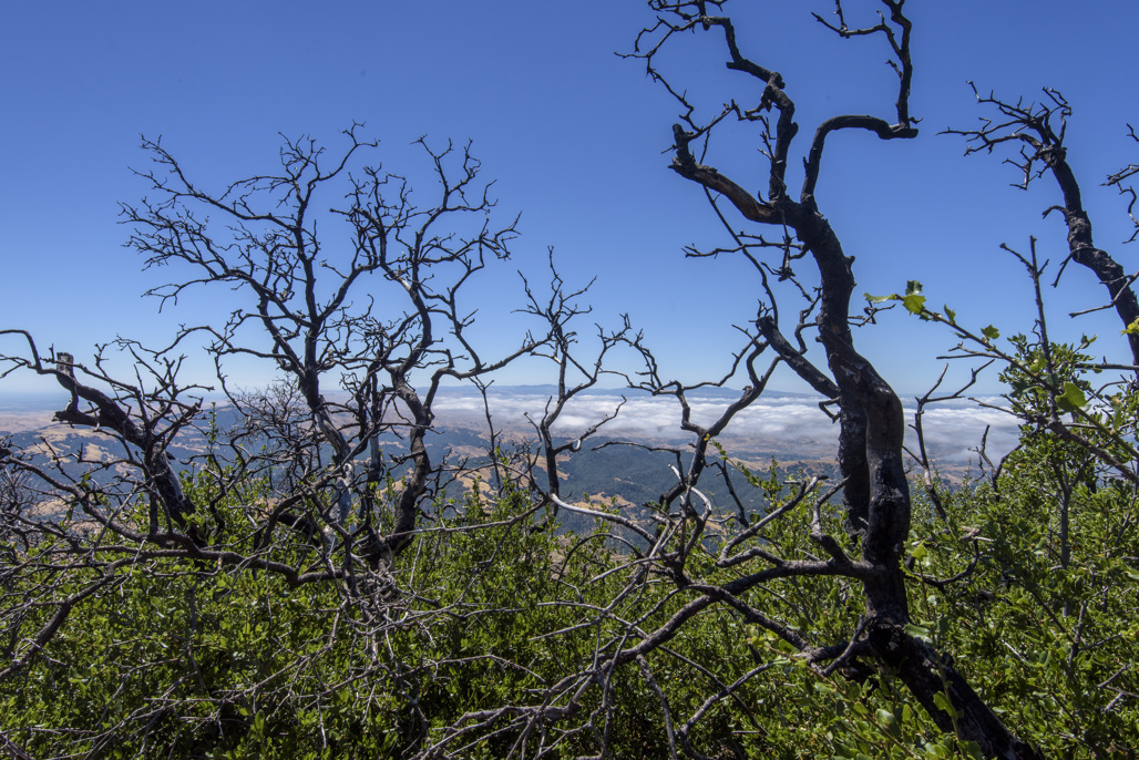 California State Parks