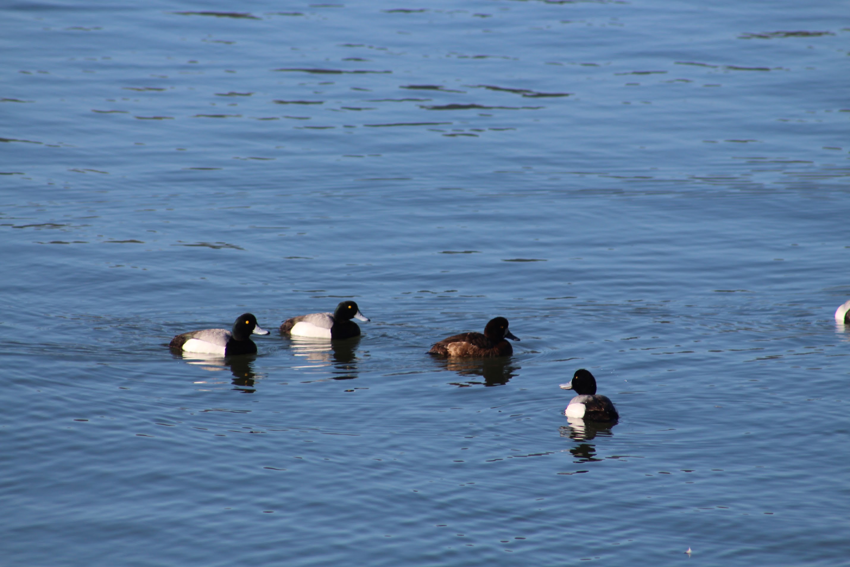 Sunrise Point Campground