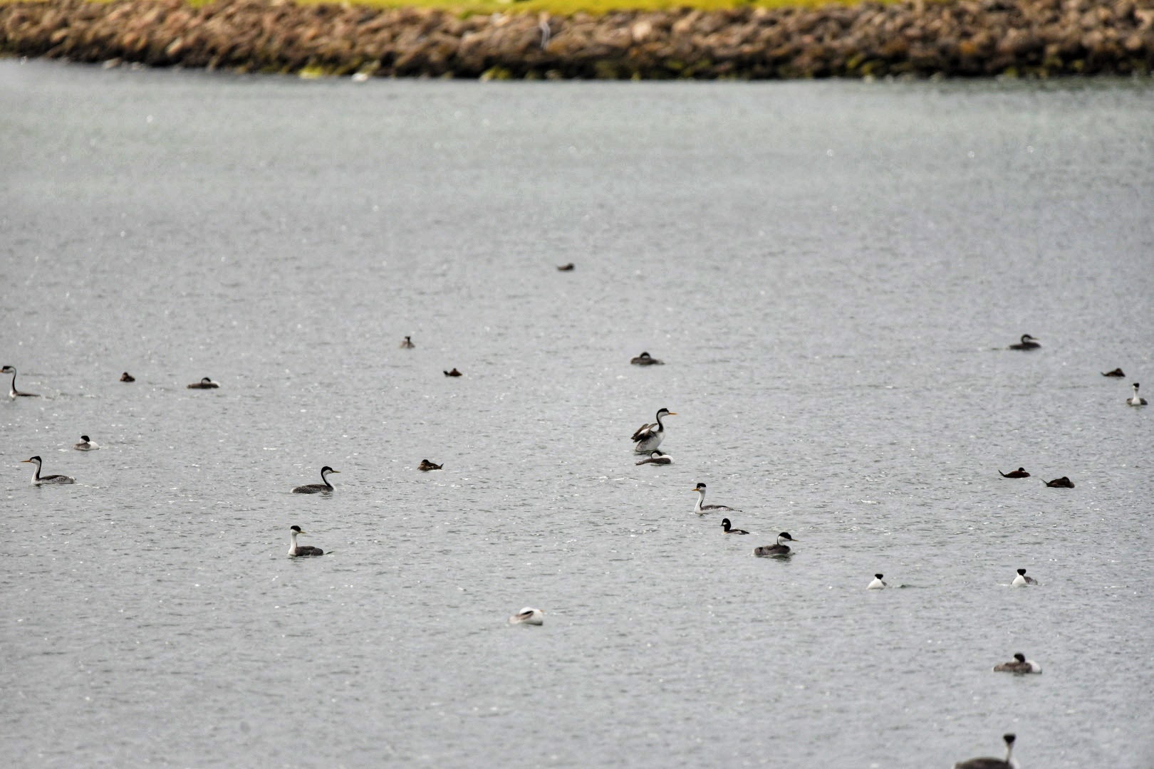 Sunrise Point Campground