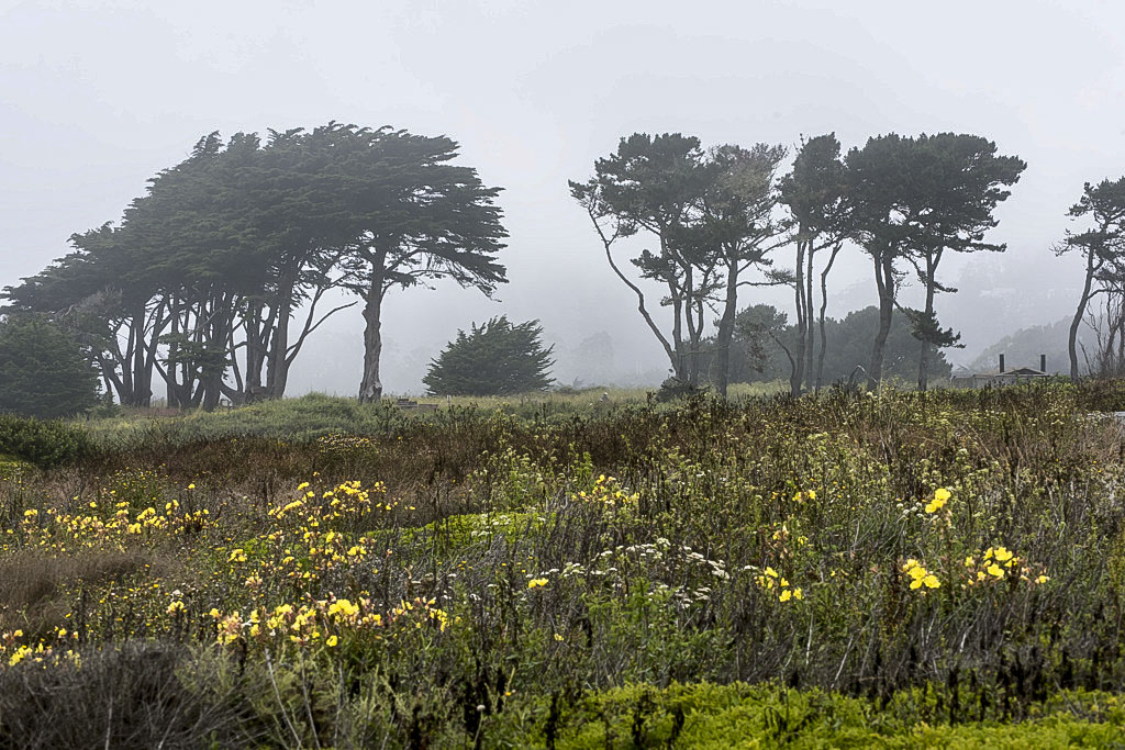 California State Parks